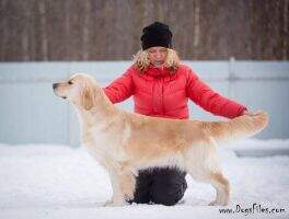 Ch. Russia, Jun. Ch. of Russia, Ch. RKF, Ch. RRC, Grand Champion Gabriela My Fluffy Bunny With me Forever