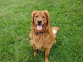 Sir Smilin Cooper