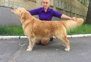 RUS DZHEYKOB BRAYEN RUS DZHEYKOB BRAYEN