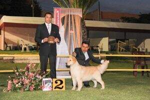 Per. Ch. Per. Ch. Bol. Ch. Bol. Andean. Gr.Ch.Bol. Vlaze by Golden Triumph