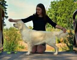 Rus. Rus. 2x Ch Club Ch RKF Grand Ch Rist Style Dzhordzhiya
