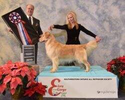 GCHB Grayvalley's Grand Madam