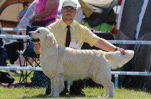 Rostock Junior Winner Poznan Ch.PL ZAMPANZAR IT WASN'T ME Qualification for Crufts 2019