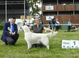 SK Queen Victoria Artemis Gold "U" JW Club2018
