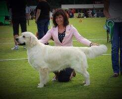 Lovehayne Bollinger