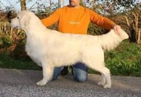Seven's Dream Moi Moche Et Mechant