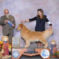 BISS. JCo. ChCo Legacy Golden Winston Churchill
