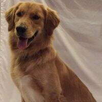 Maggie Rose Prim