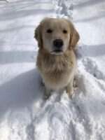 Sunfire's Magical Winter Sunfire's Magical Winter