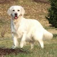 Strike Golden You Got The Look