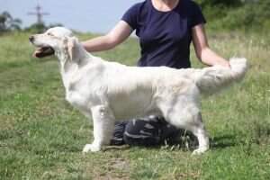 2xCH UA Bubbles Yablonsky Take Five 2xCH UA Bubbles Yablonsky Take Five