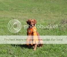 Nelson's Reba