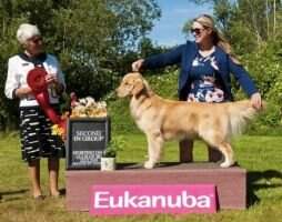 Tamarack's Icing On The Cake MBISS
