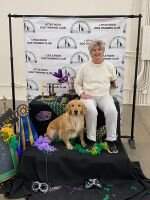 OTCH6 Rusty Creek Orange You Smart UDX14 OGM RM OF CCA BCAT