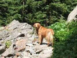 Tilly Gatley Tilly Gatley