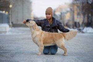RUS CLUB CH RUS CH CLUB Odisseya Iz Doliny Solnca RUS CLUB CH RUS CH CLUB Odisseya Iz Doliny Solnca