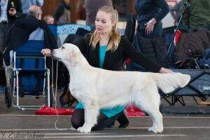 Swiss ILSO Croatien Golden Go-Getters Glamour Girl