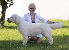 J.UA CH& J.BREED UA CH, J.ch.ROMANIA. Salandatterra Jet Set