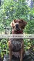 Cross Creek's Ginger Sky Fall Eliza Jane