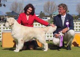 RUBISS Australian Champion FANTANGO CANT BUY ME LOVE
