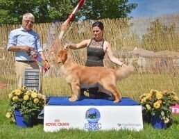 Hillock's L V The Truth AtGoldpaw Hillock's L V The Truth AtGoldpaw