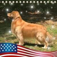 Leongolden It's Your Birthday My Birthday Too