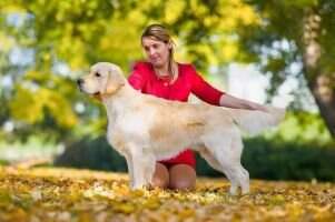 Bruno Golden Elianne