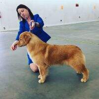 Maximus Golden Trip Must B Love On The Brain