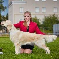 CH.RKF, CH.RUS, JGrCH.RUS, JCH.RKF, JCH.RUS, JCH.CL RUS Cesto D'oro Milisenta