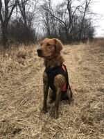 Floden's Waylon