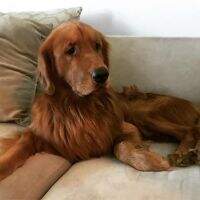 Tucker James Creed Tucker James Creed