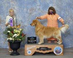 Cobblestone Stepping Up To The Plate