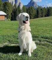 Maciarot In my life