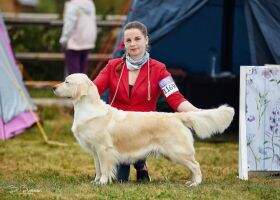 RUS Club CH RUS CH Club CH RKF CH BLR 4x CACIB Fern Flower Arctic Fox