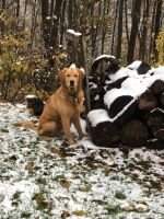 PGOLD TUCKER LATOUR
