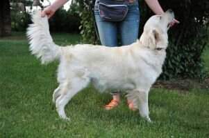 Molly of Bear Lake