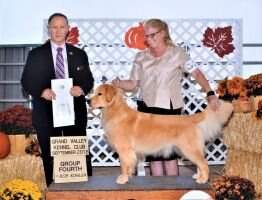BOSS CH Meglen & McCarthy's Golden Unicorn of Xanadu POA