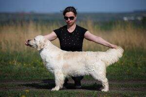 RUS Bernsgold Adeluna