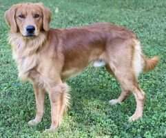 Tanbark's Time After Time Tanbark's Time After Time