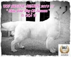 CH.IE. SHINE YOUR WAY OH SUZANNA