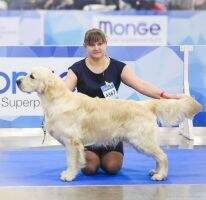OBERON IZ DOLINY SOLNCA Eurasia Junior Champion 2019 RUS CH CLUB CH CLUB OBERON IZ DOLINY SOLNCA Eurasia Junior Champion 2019 RUS CH CLUB CH CLUB