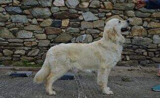 Drombeg Made in Ireland J.CH GR-NMK J. BG CH.FYROM GR.SH.CH