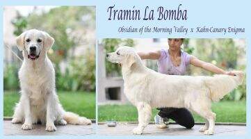 Tramin La Bomba