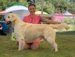 C.I.E., C.I.B.,GRAND CH CZ, HU, SK, CH CZ, SK, HU, CRO, PL, Show CH HU, CRO, CH ČMKU,Junior CH SK Atlantis Toby Happiness of Gold heart