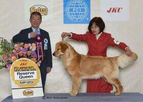 LILACFIELD JP FAITH IN ME