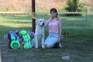 Grand Jun CH RUS, Jun CH Club ELIZABETH GOLDEN LUCK