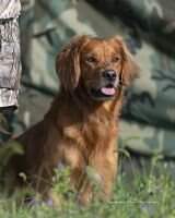 HR UH Hunter's Creek Chasing 2nd Chances