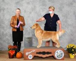 Xcelerate Grand Slam In A League Of Her Own BN CGCU TKI FITG FTN
