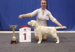RUS/ CH CLUB RUS/ JGCH RUS/ CLUB RUS 2хRKF Riera Yasmina /HT D HT SSBB