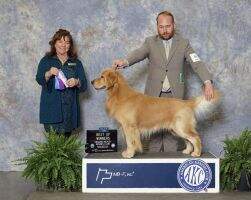 Carova Skye River Rock Hailey Footloose RumTumTug RI CGCU